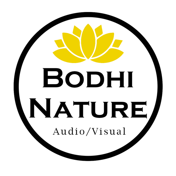 Bodhi Nature Audio & Visual Store