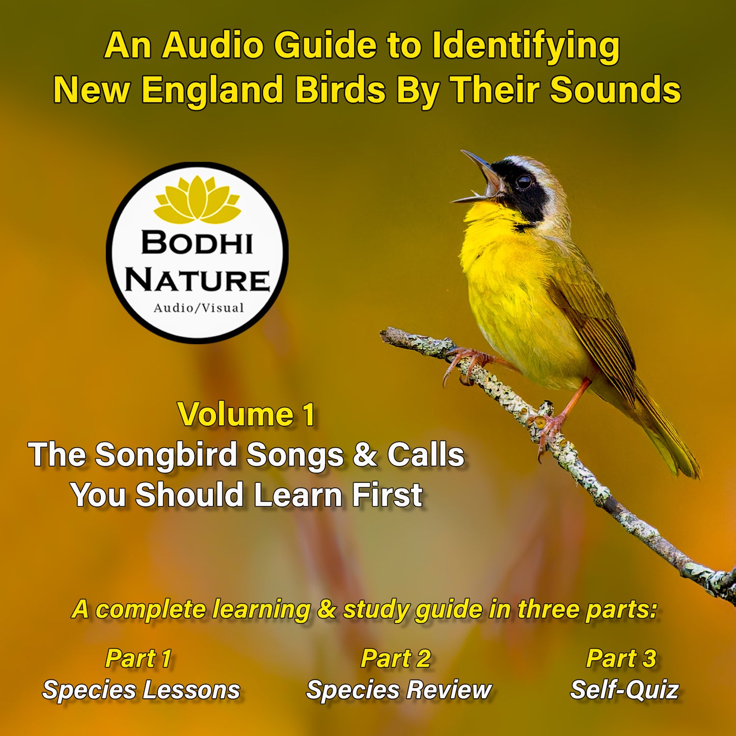 An Audio Guide to Identifying New England Birds By Their Sounds - Volume 1: The Songbird Songs & Calls You Should Learn First